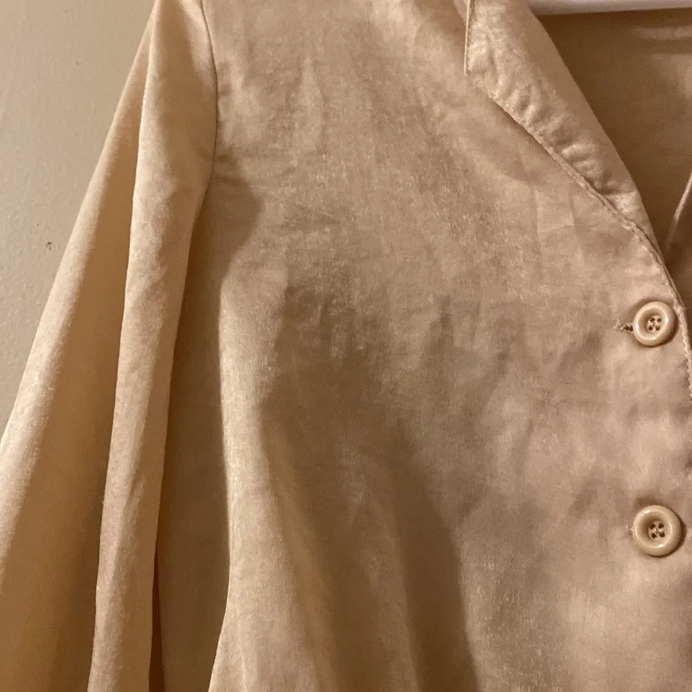 PLT Satin Champagne Cropped Button Down Collared Blouse - Image 2