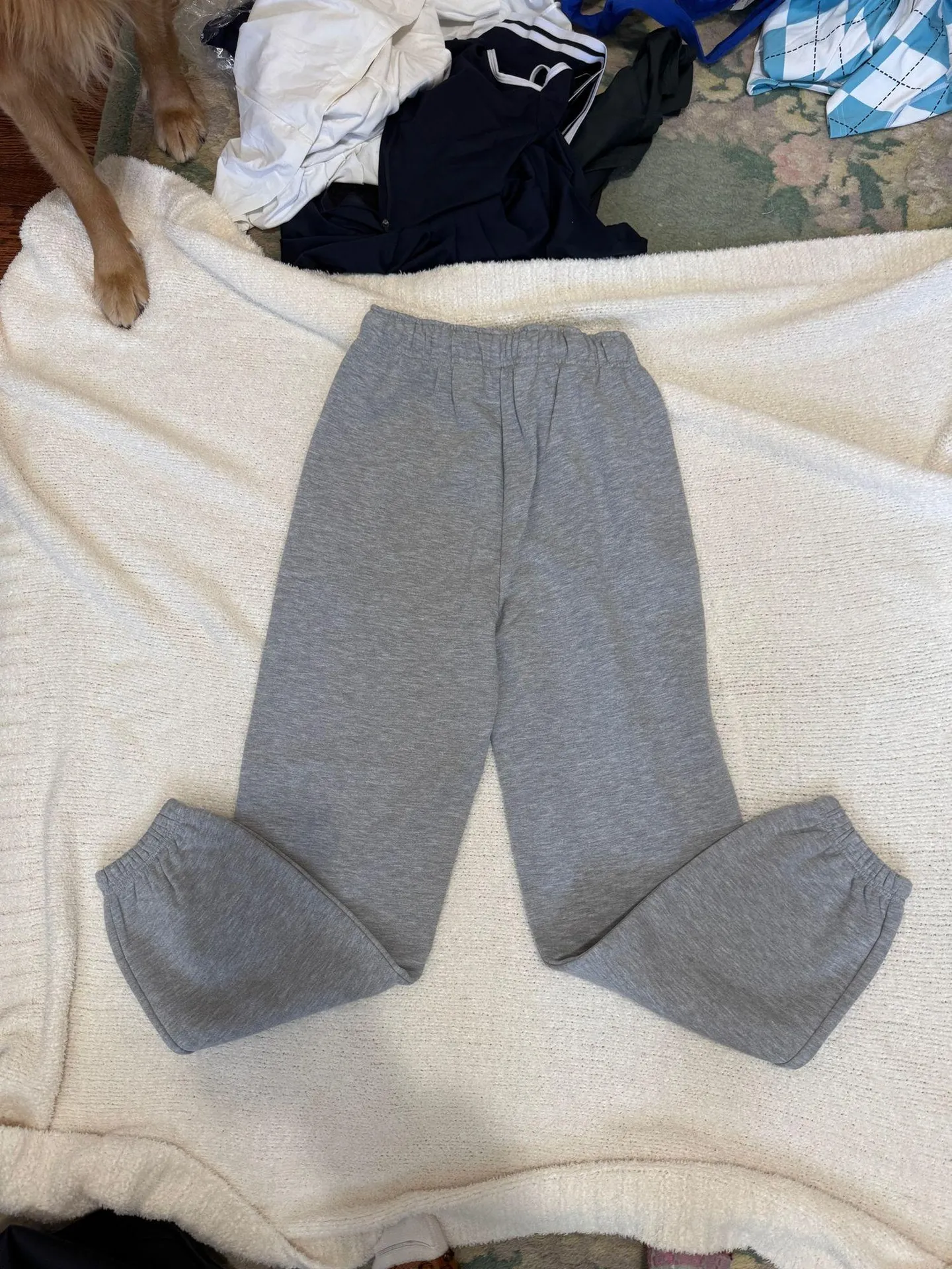 Alo Accolade Yoga Sweatpants - Image 3