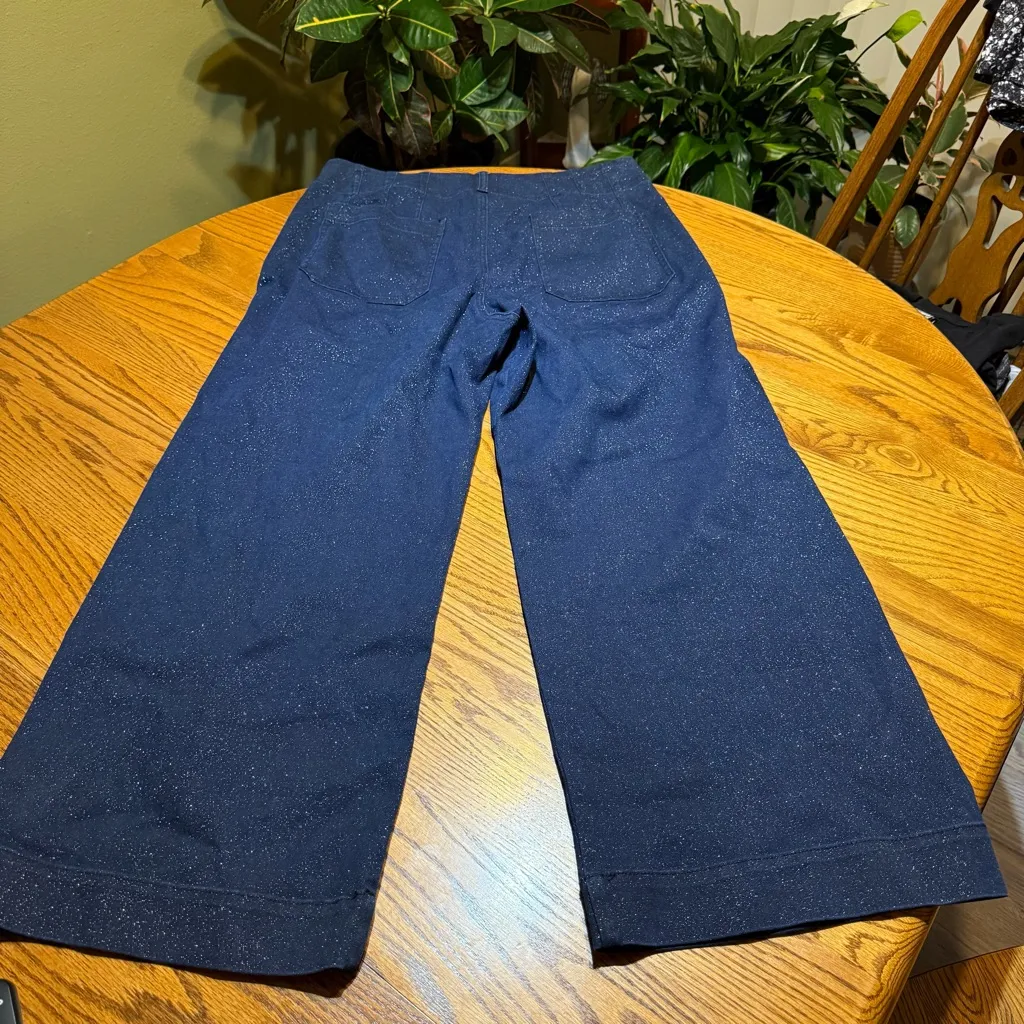 Anthropologie The Colette Maeve Sparkle Denim Cropped Wide Leg Jeans Size 32 - Image 5