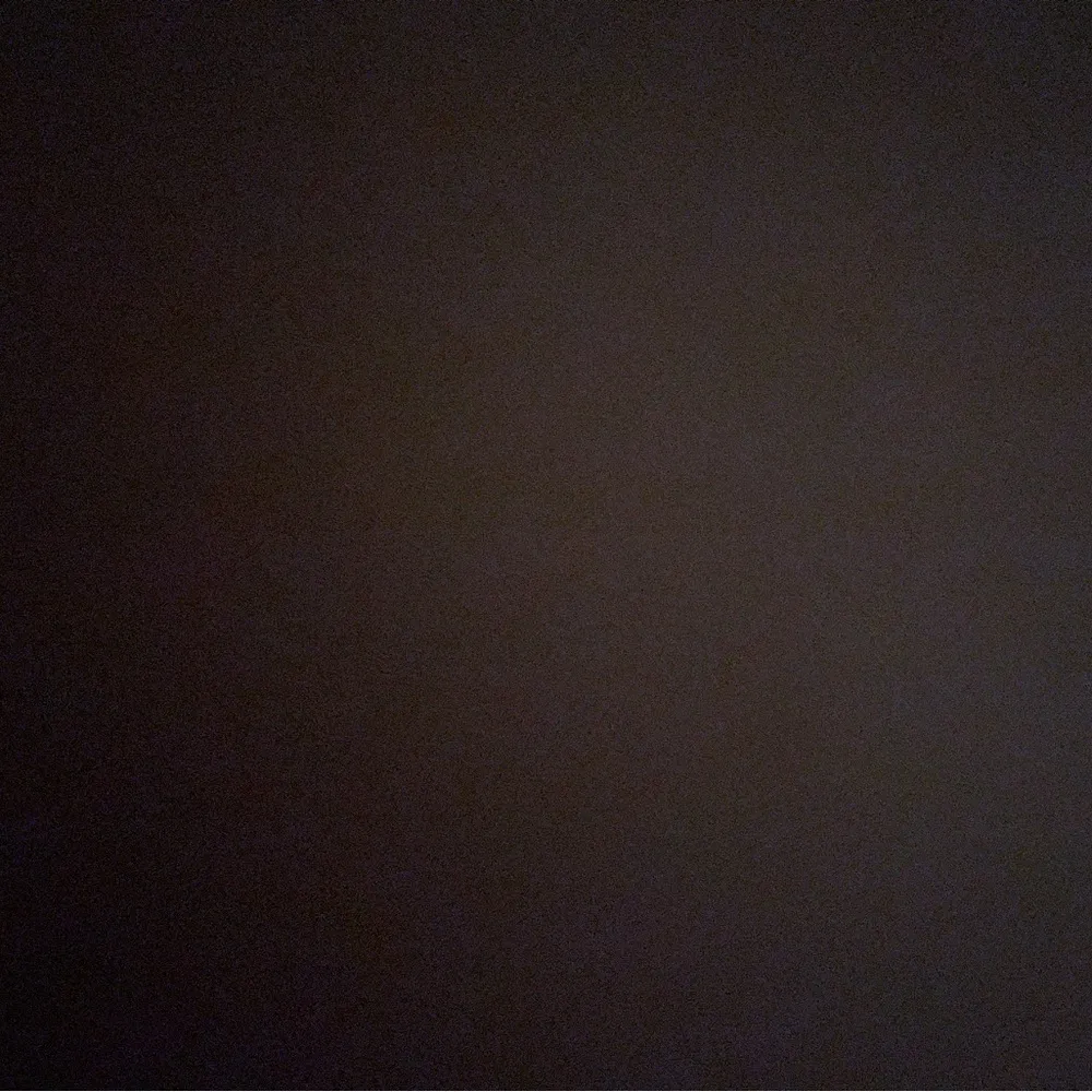 American Eagle Crop Top Medium - Image 3