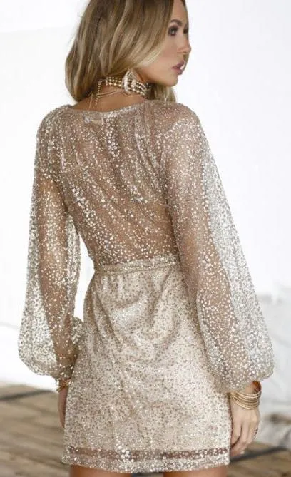Xenia Champagne Party Dress   - Image 2