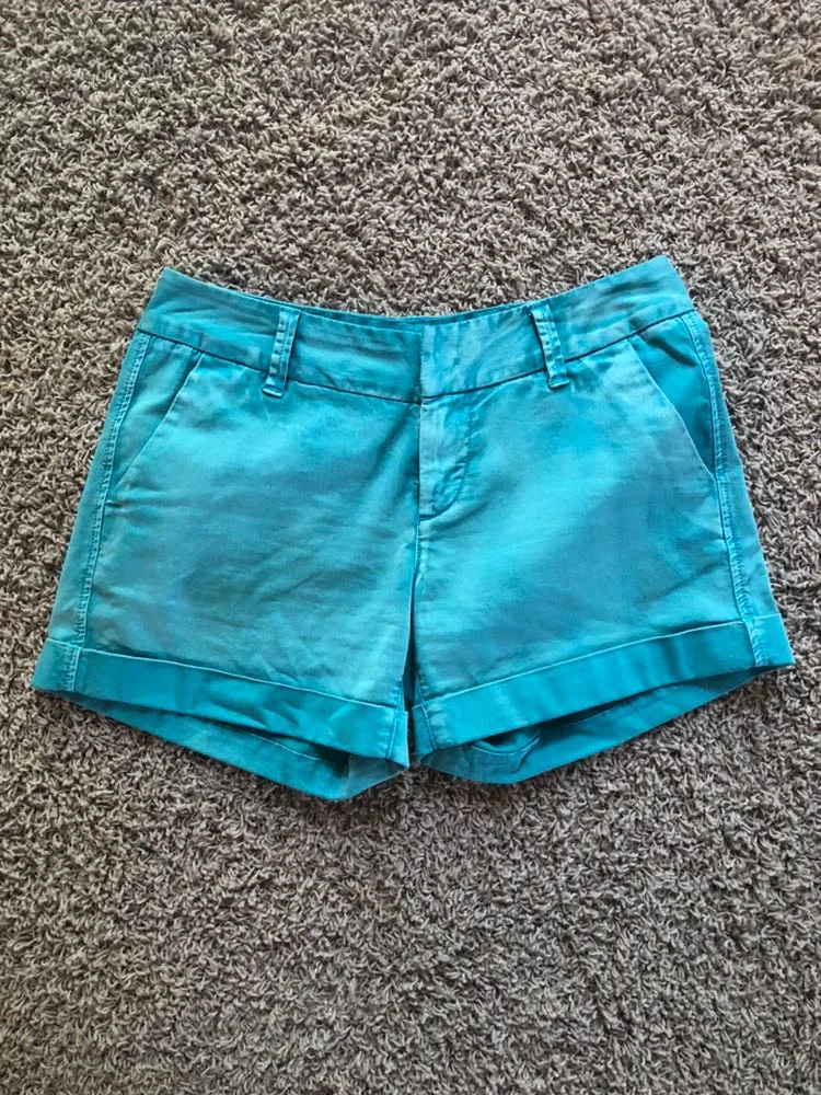 Teal Shorts - Image 4