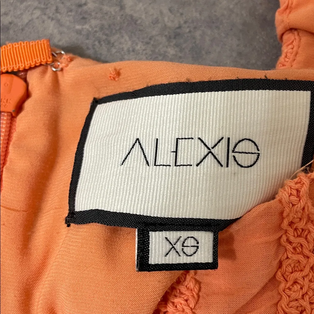 Alexis ravella dress size Small - Image 6