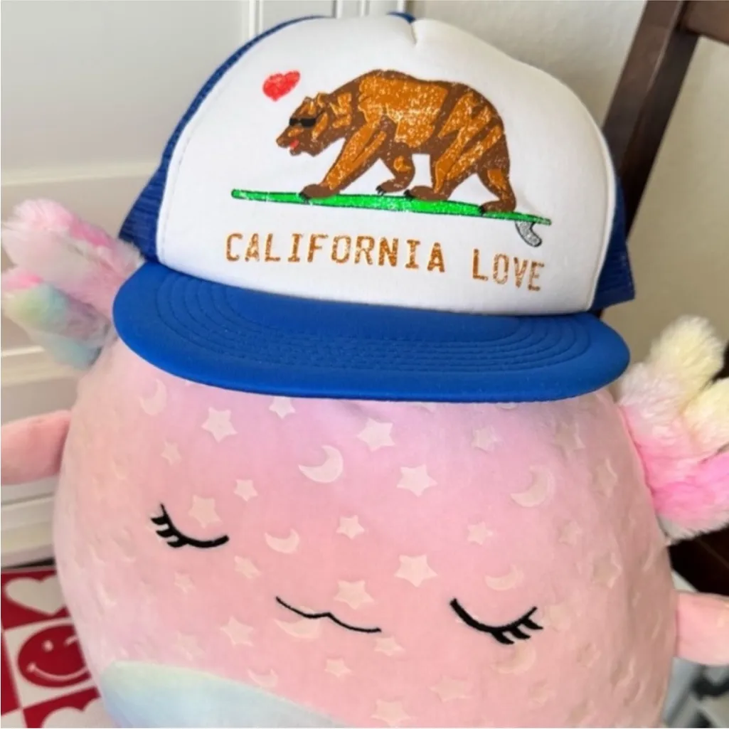 California Love Blue and White Snapback Hat - Image 5