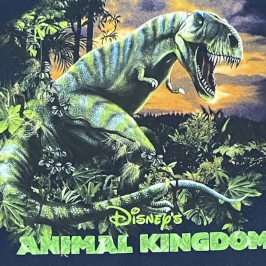 Vintage 90s Disney Animal Kingdom Dinosaur Tank Top Unisex Large - Image 3