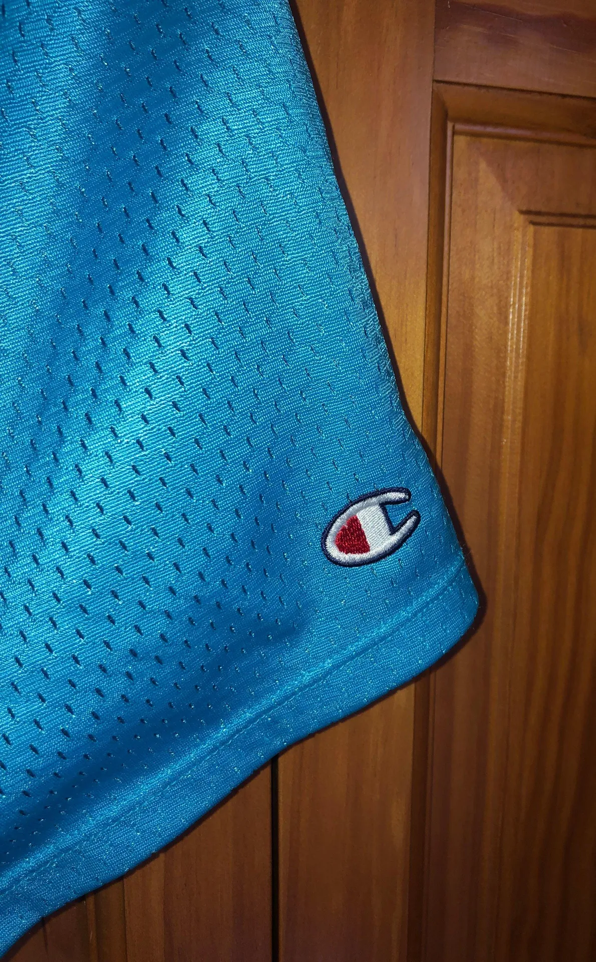 Champion Mesh Shorts - Image 3