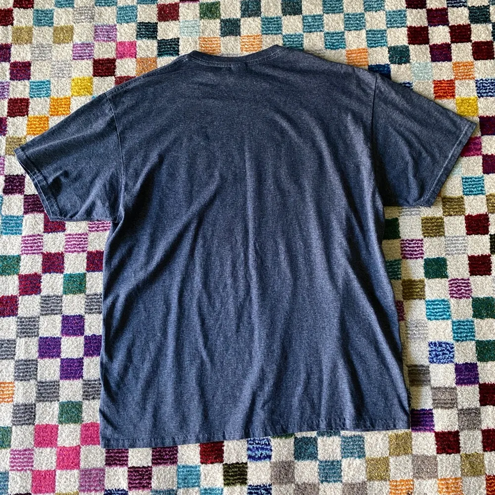 Gildan Louisiana graphic tee souvenir shirt gray large - Image 2