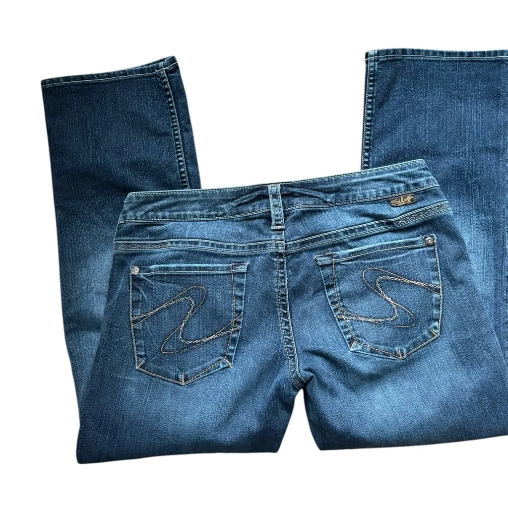 Lucky Brand Sweet N Crop Stretch Jean Size 8/29X25 Boho Western Hippy Earthy - Image 4