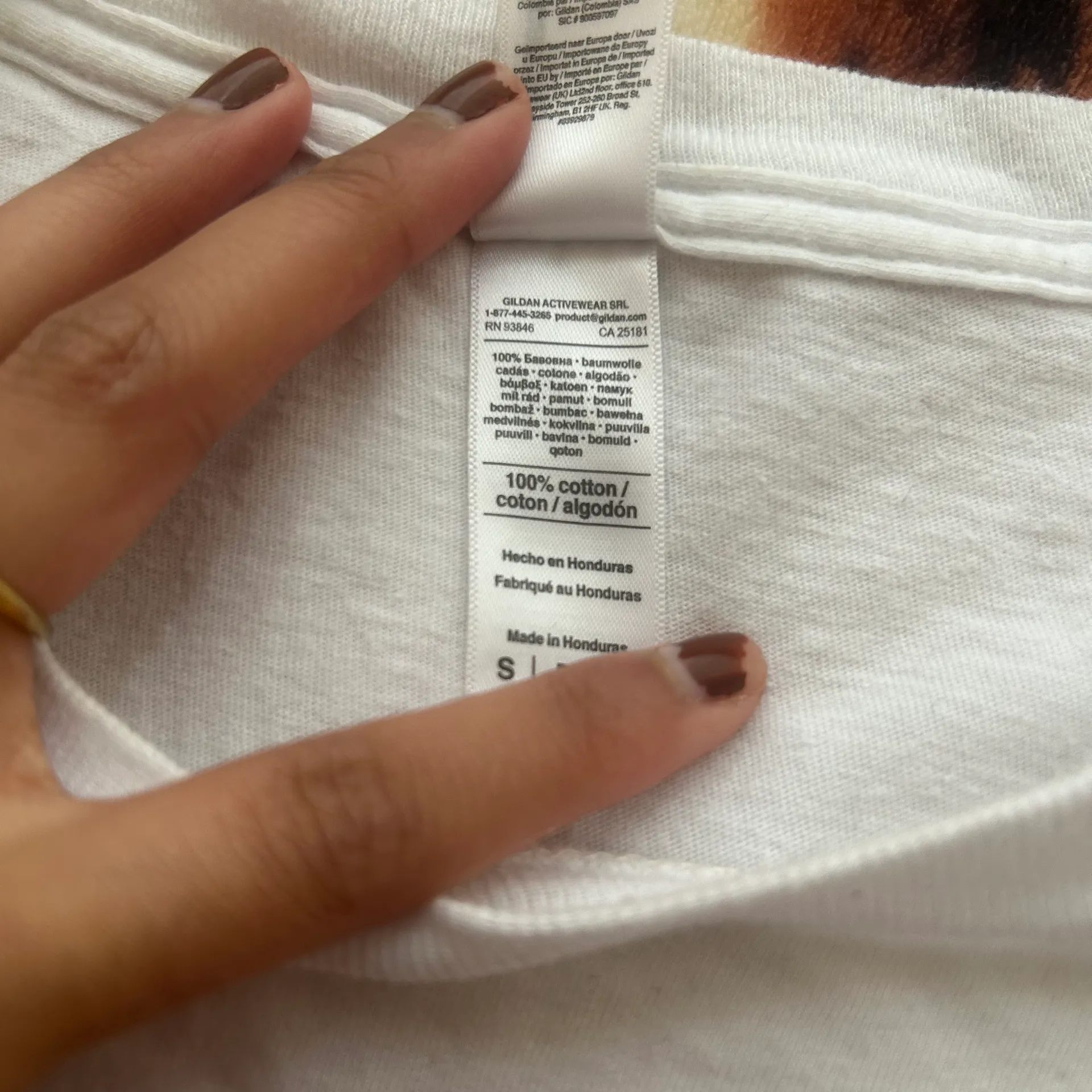 UC Berkeley Shirt - Image 4