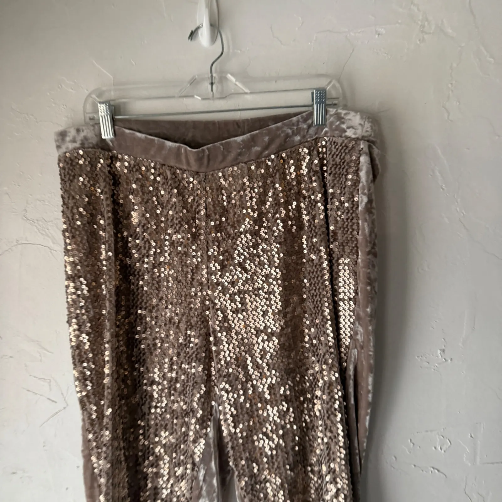 Chicos Sequins Velvet Ankle Pants Taupe Women Size 3 Large Party Event Sparkle - Image 2