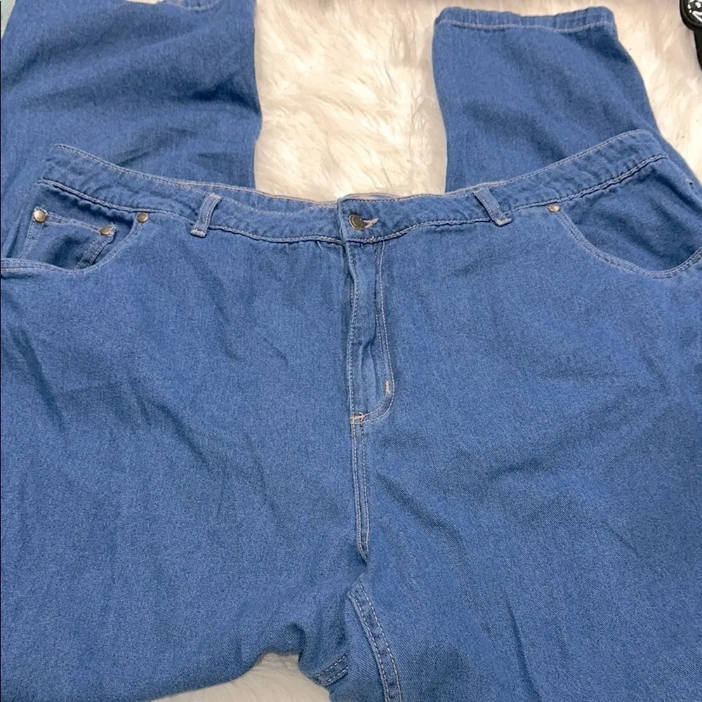 WOMAN WITHIN Classic Blue Denim Jeans size 22W - Image 2