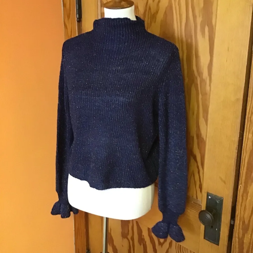 BB Dakota Steve Madden Sparkly Sweater - Image 7