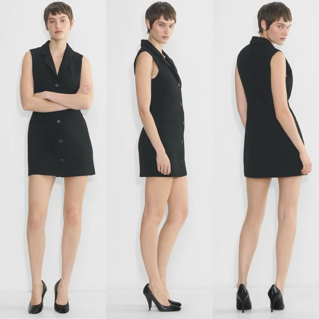 Babaton Aritzia Mastermind Black Sleeveless Blazer Dress - Image 3