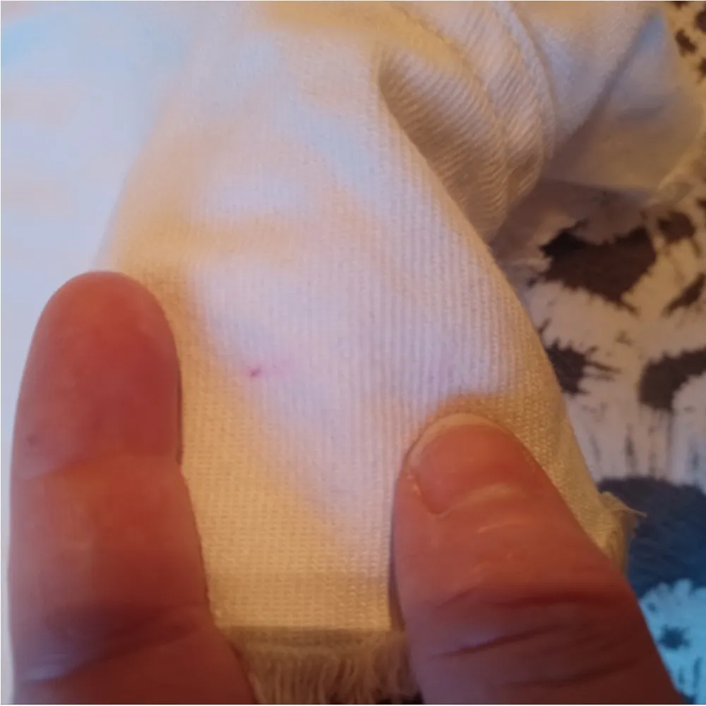 NWT Rag & Bone White Embroidered Justine Shorts - Image 9