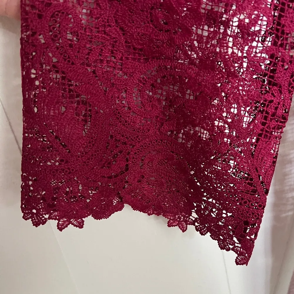 NWT Johnny Was Harper Lace Mini Dress - Image 4