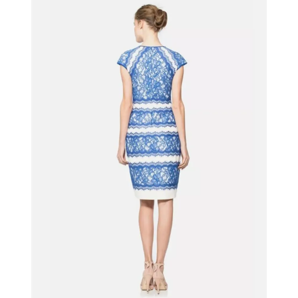 Tadashi Shoji Neoprene Lace Overlay China Blue Snow Cap Sleeve Dress Size 8 - Image 10