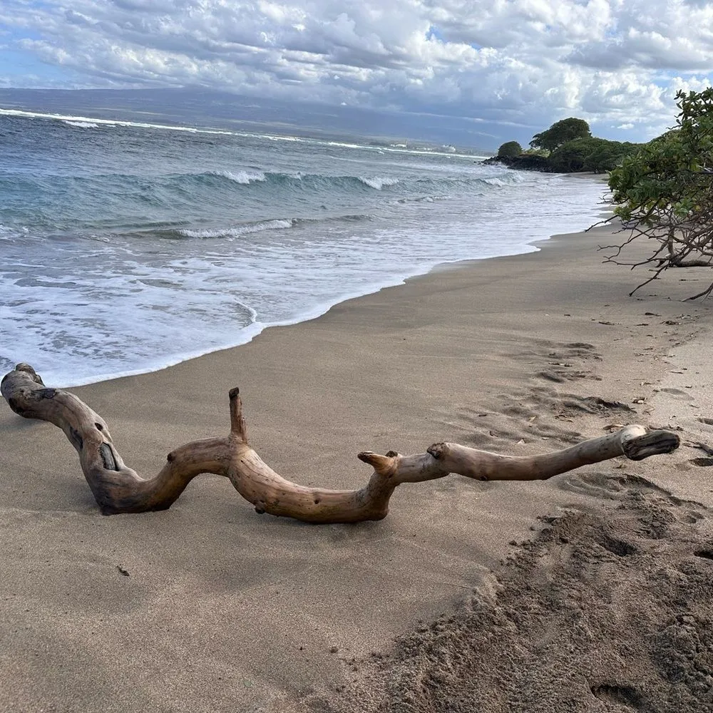 Edison Pearl Mother of Pearl Ivory & Pink Pikake Bracelet Purple - Image 10