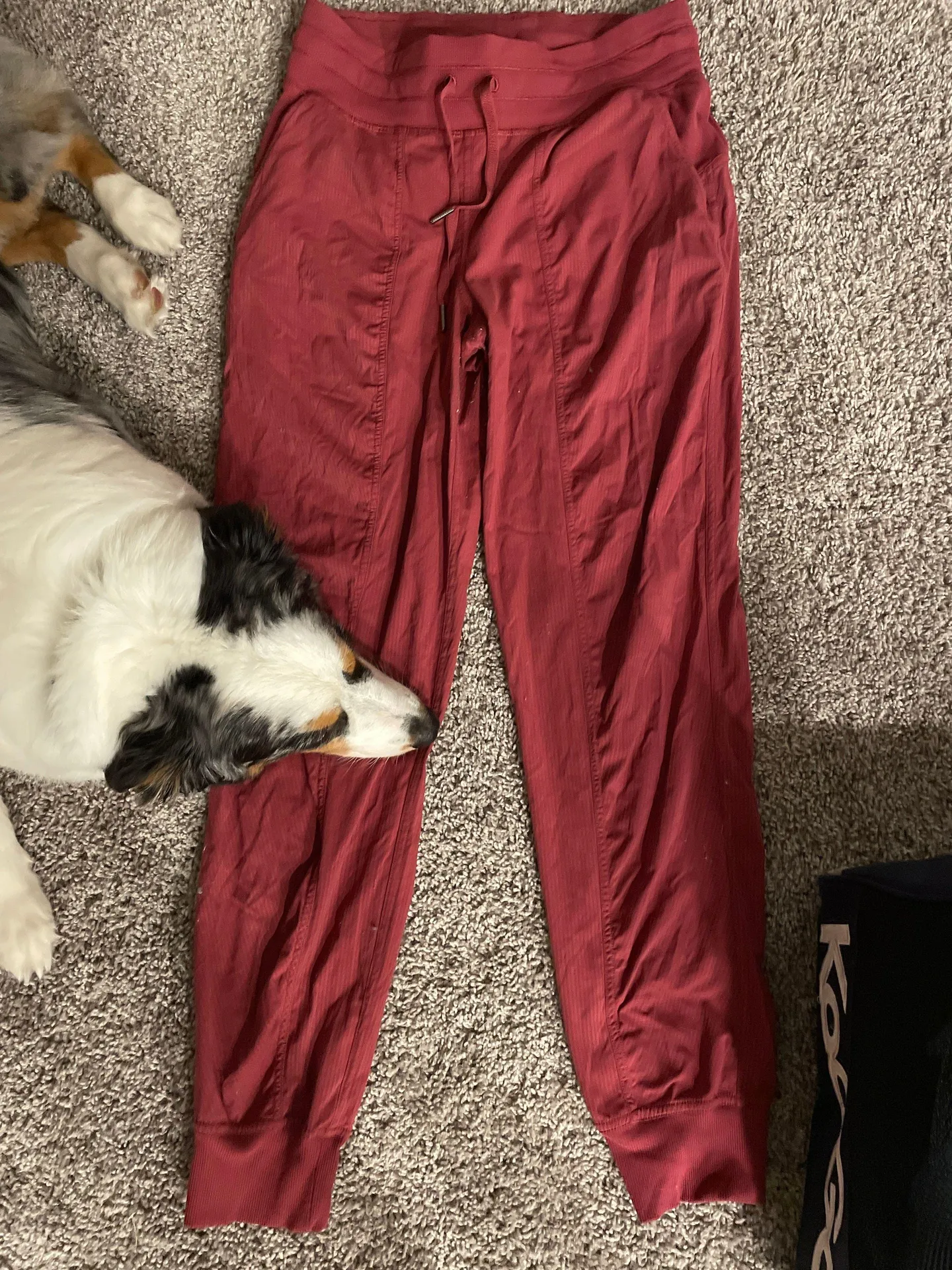 Lulu Dance Studio Joggers Red Size 6 - Image 2
