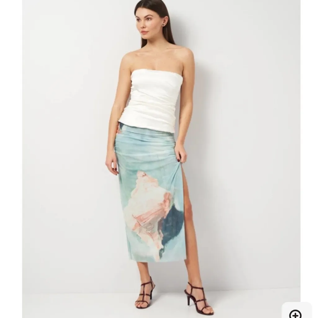 Zara Tulle Printed Skirt - Image 4