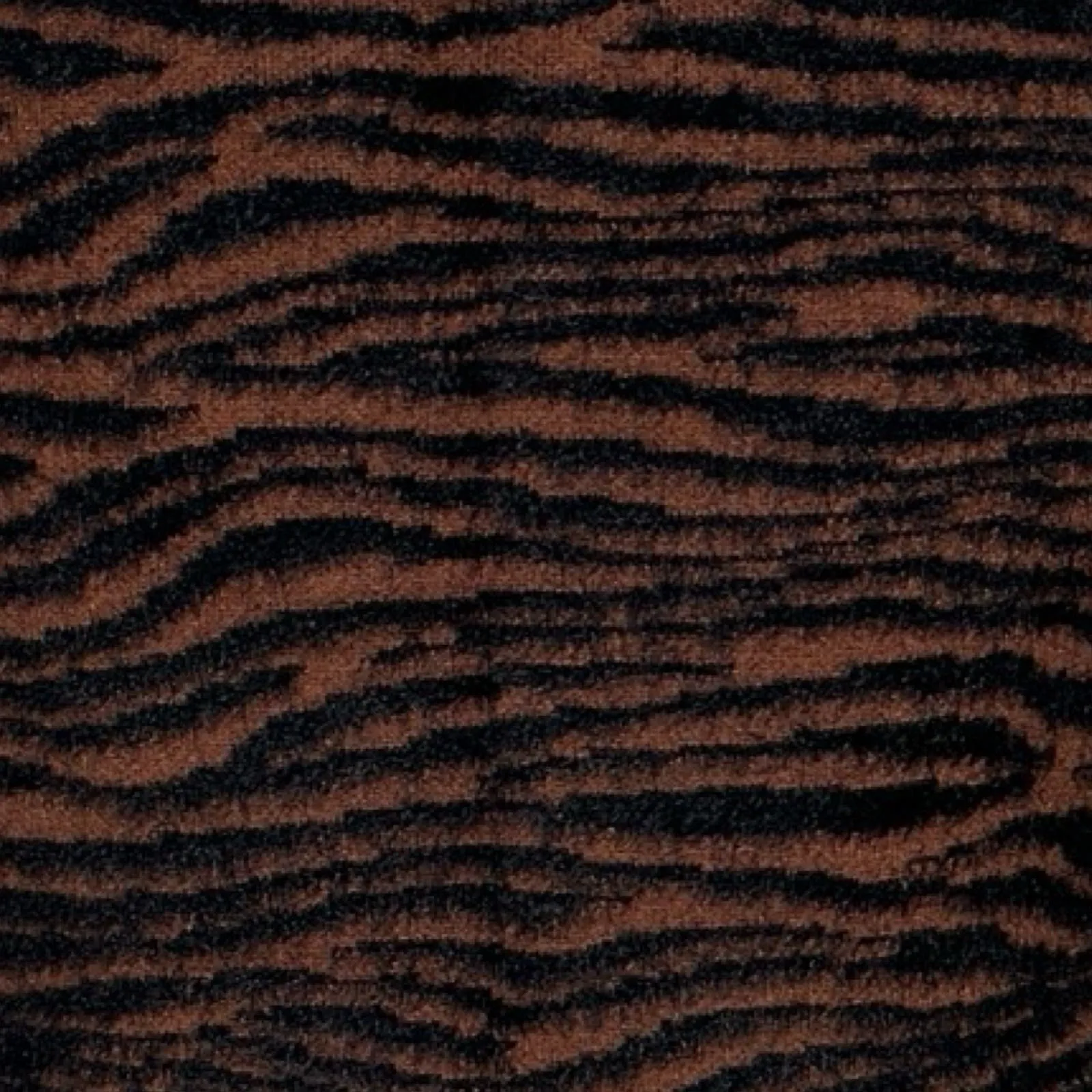 Express x‎ Negin Mirsalehi Sweater Womens Small Brown Black Tiger Stripe Edgy - Image 6