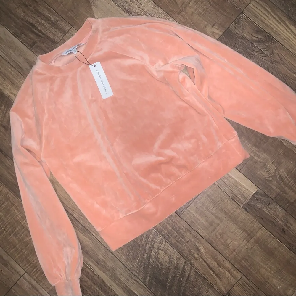 Cupcakes and cashmere nwt pink terry cloth top crew fuzzy spring casual mauve - Image 4