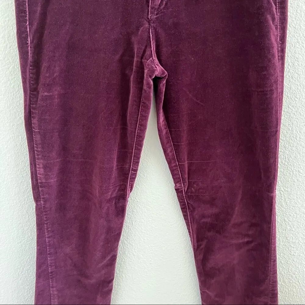 Pilcro and the Letterpress Anthro Serif Velvet Maroon Pants 26 - Image 4
