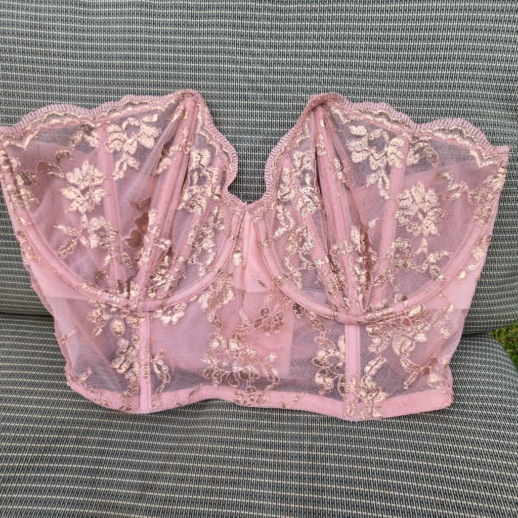 Victorias Secret Fashion Show Dream Angels Metallic Lace mesh bra Corset 36D - Image 5