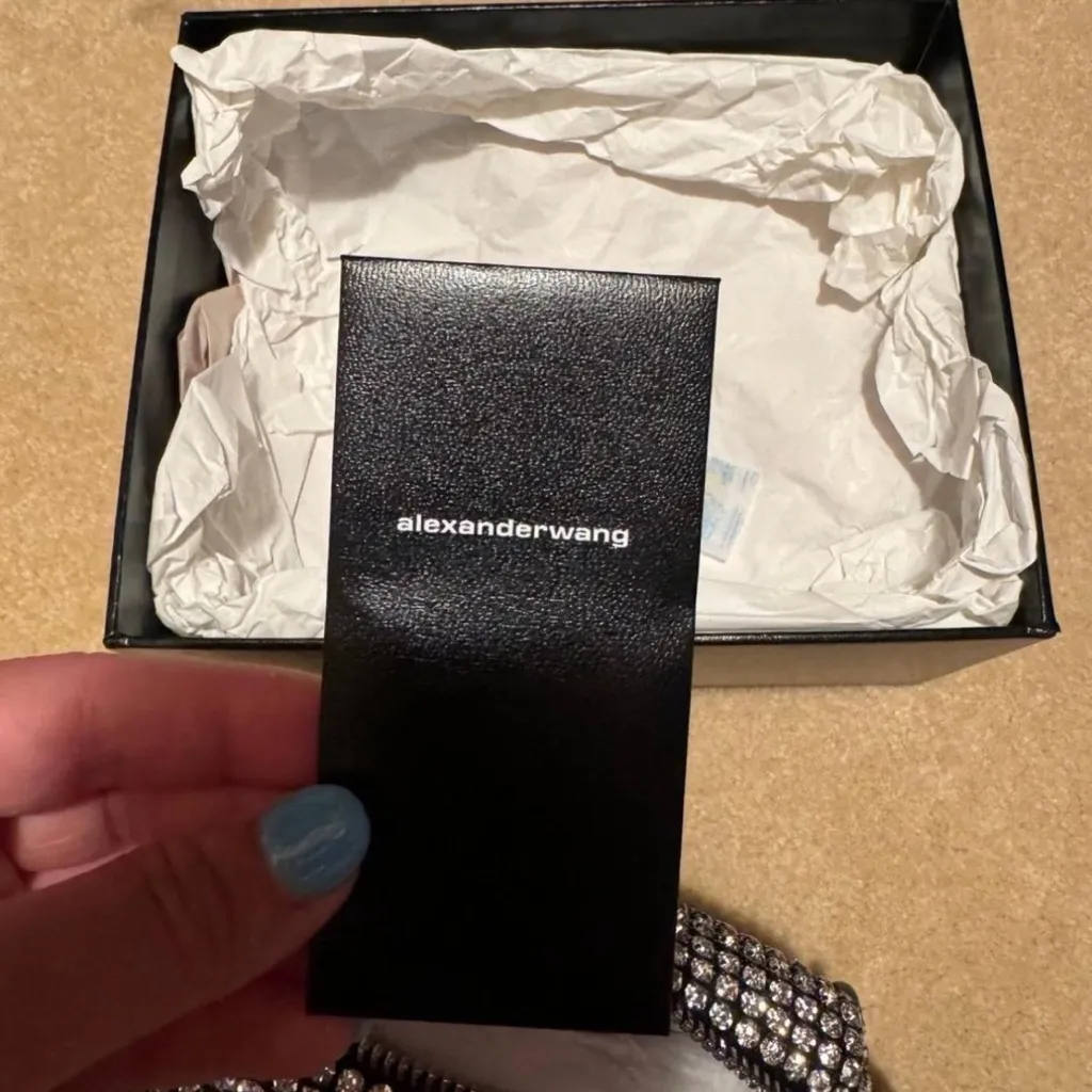 Alexander Wang heiress pouch in crystal mesh - Image 5