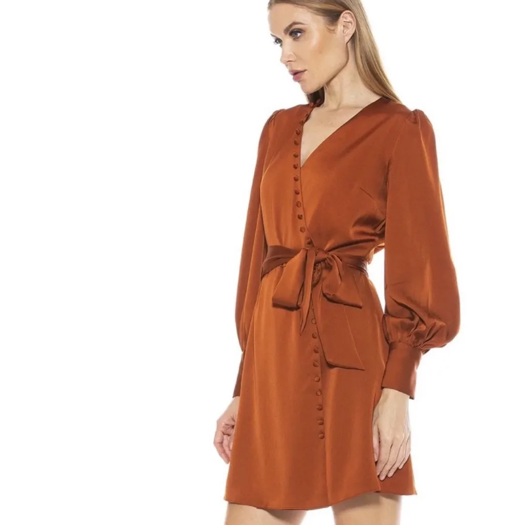 Alexia Admor Burnt Orange Long Sleeve Dress - Image 5