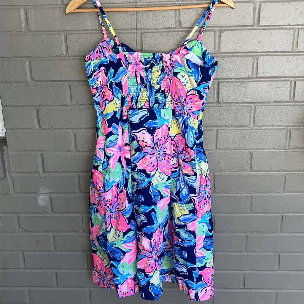 Lilly Pulitzer Easton Dress in Nauti Navy / Capri Soleil | size 4 - Image 4