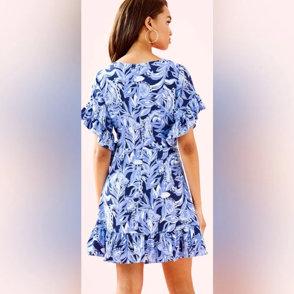 Lilly Pulitzer Darlah Blue and White ocean palm Dress 2025  NWOT - Image 3