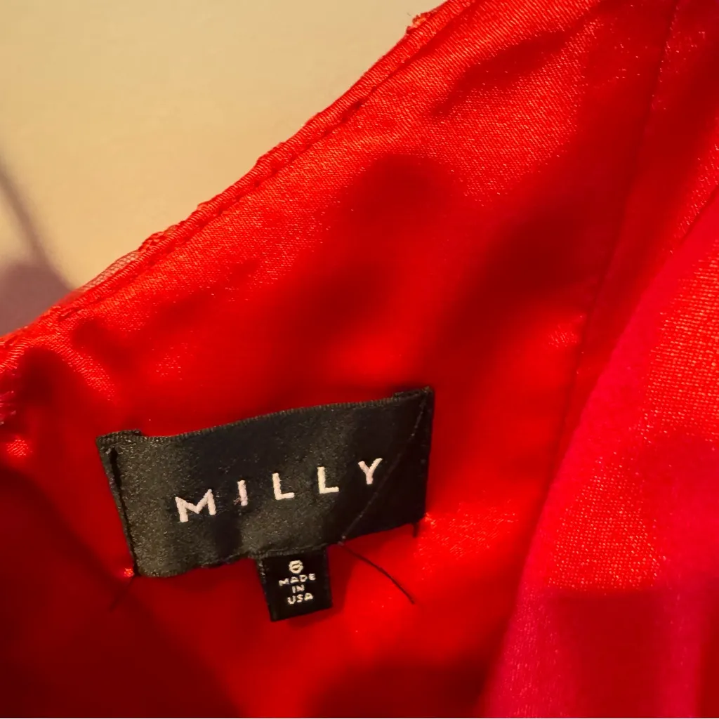 MILLY Joselyn Embroidered Midi 3D Tulle Dress | Size 6 - Image 5