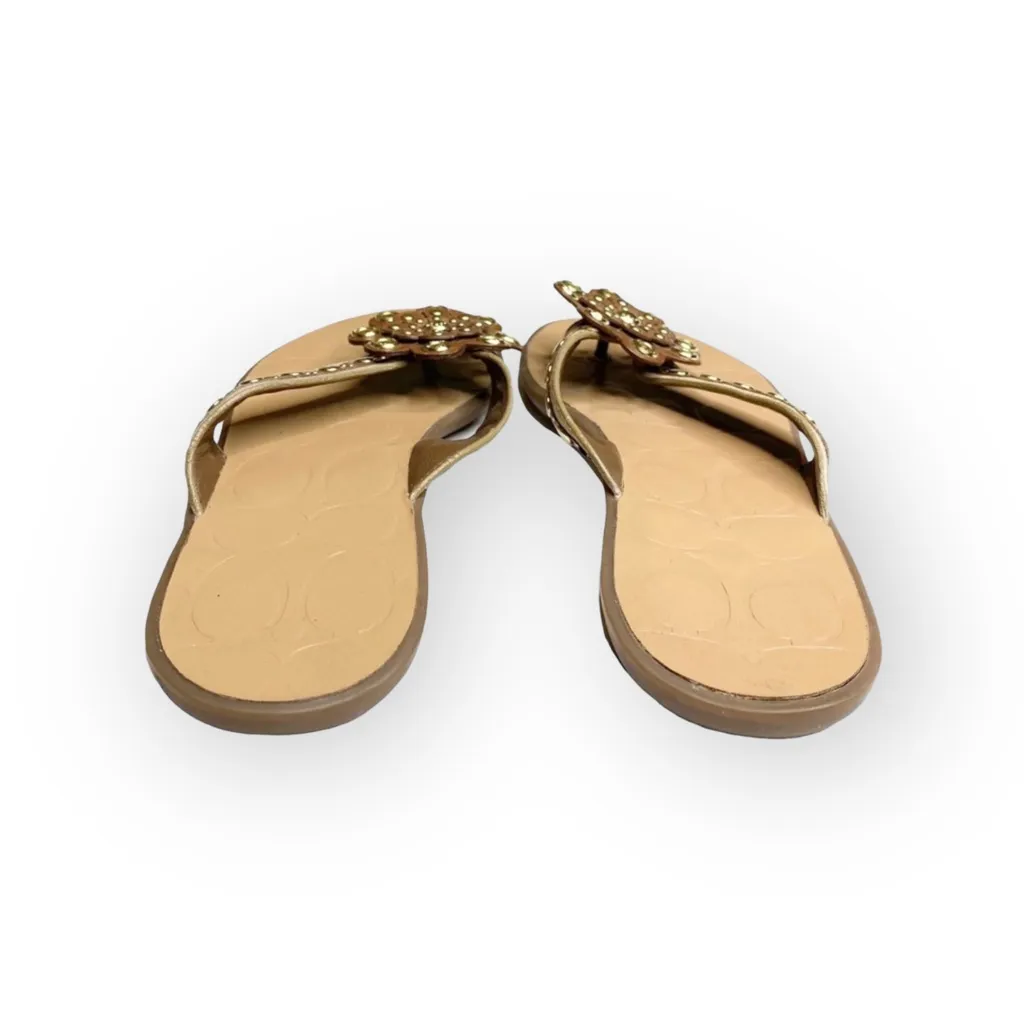 Deadstock: new Coach ❃ Kelby Flower Hardware Thong Sandal ❃ Latte Leather ❃ 8.5 - Image 4