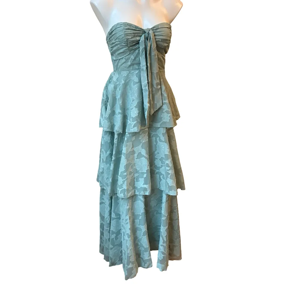 NWT, Hello Molly WHIMSY IN WONDERLAND STRAPLESS MAXI DRESS SAGE, Sz 6 - Image 6