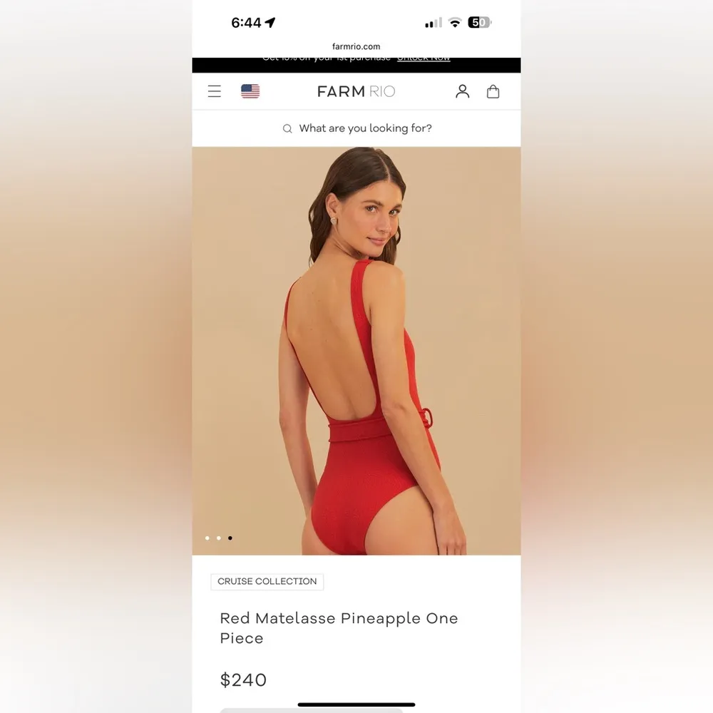 farm rio swimsuit - Image 4