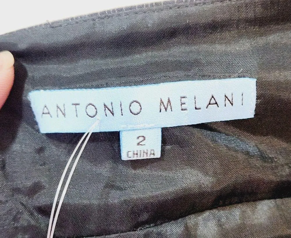 NWT Antonio Melani Blue Pinstripe Sleeveless Sheath Dress Sz 2 - Image 11