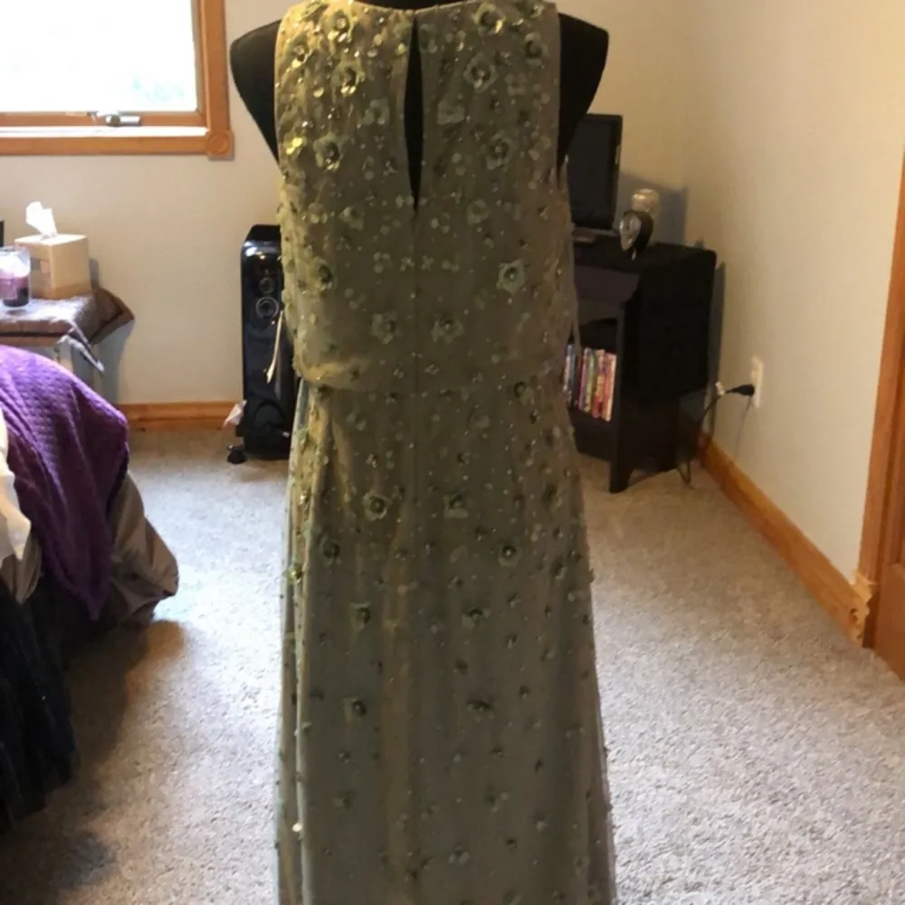 Adrianna Papell Formal gown - Image 4