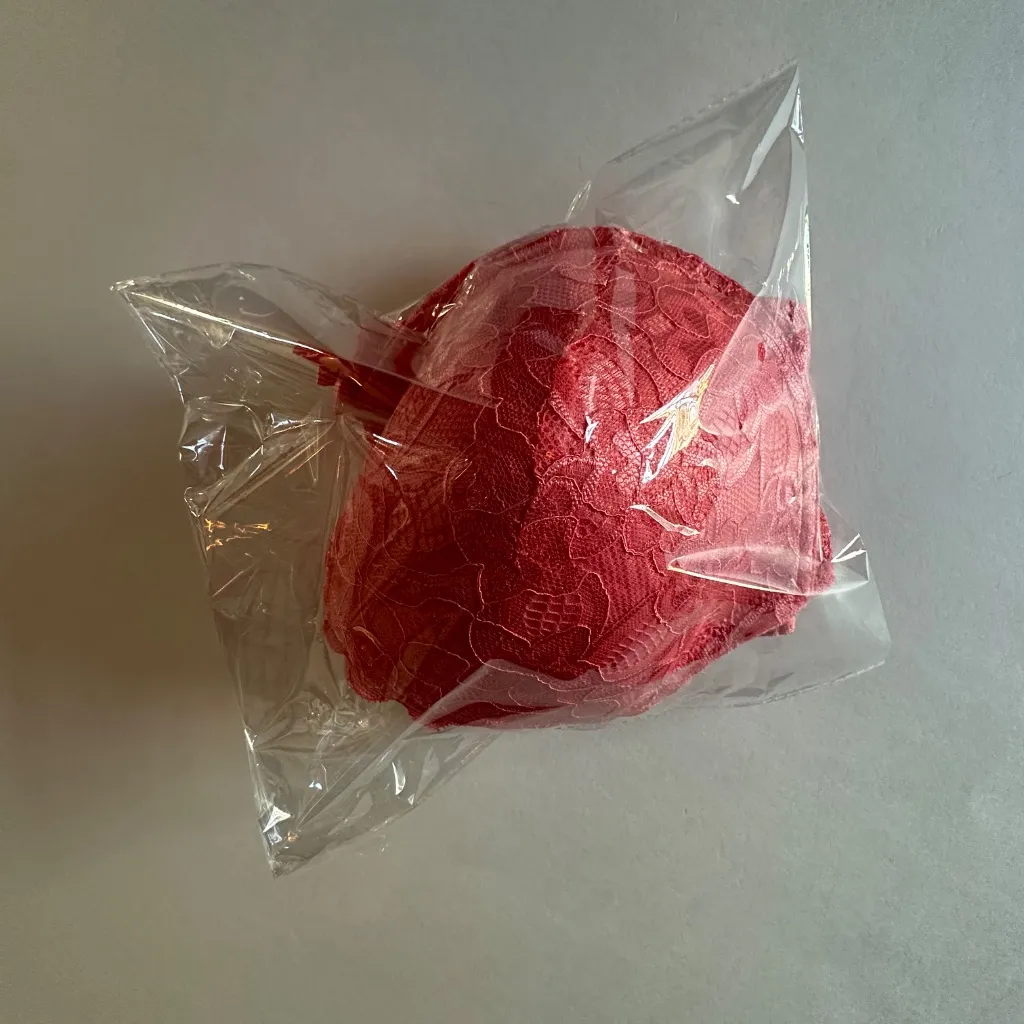 Daisy Fuentes Peach Buster Bra‎ With Adjustable Straps - Size 42D. - Image 7