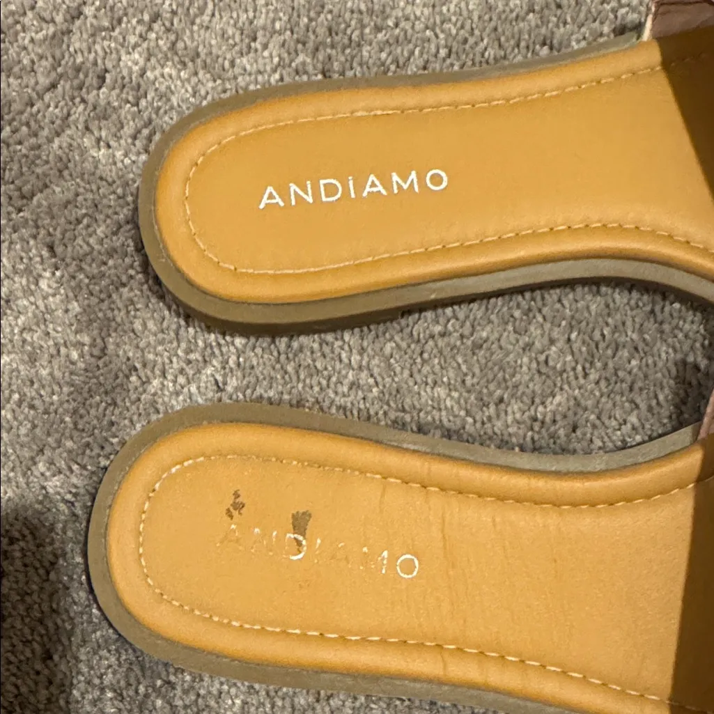 Andiamo Awitman Floral Rhinestone Flat Sandals SIZE 9.5W Pink - Image 2