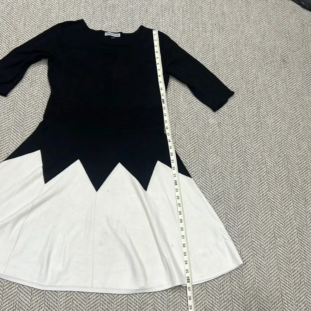 Danny and nicole winter dress - Image 3