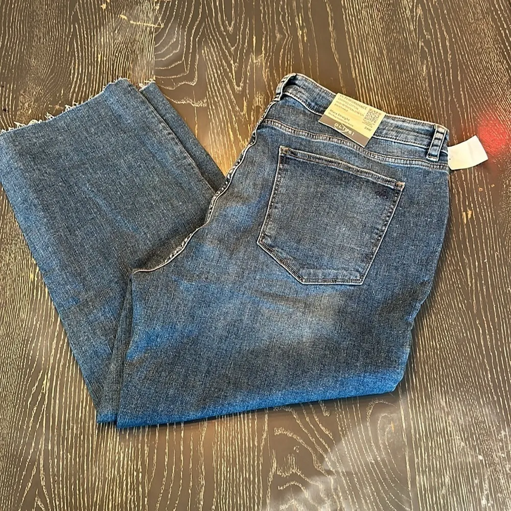 DL1961 Mara Straight Mid-rise instasculpt ankle frayed hem size 24W NWT - Image 3