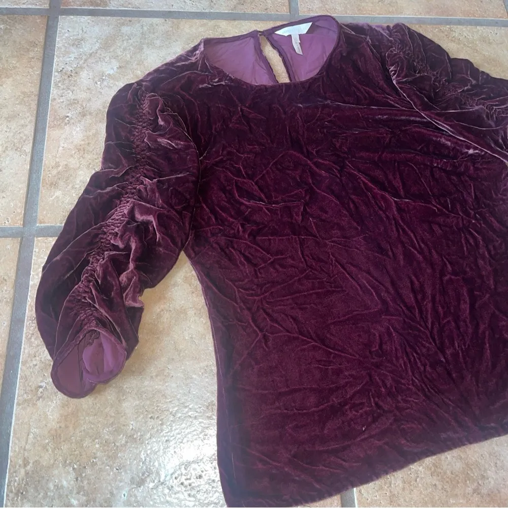 Rebecca Taylor Women's Burgundy Rushed Velvet Garment Size 2 - Image 2