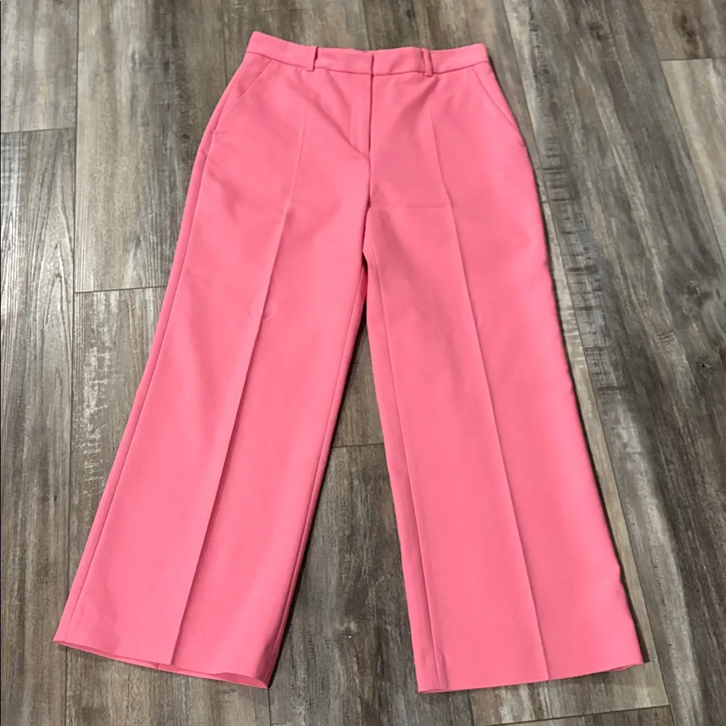 Zara NWT pink cropped pant medium
Waist 15
Rise 12
Inseam 26
Leg opening 10.5 - Image 2
