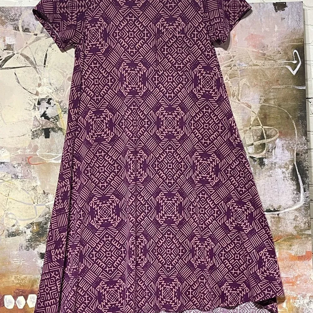 LulaRoe Carly Dress XS cute!! - Image 5