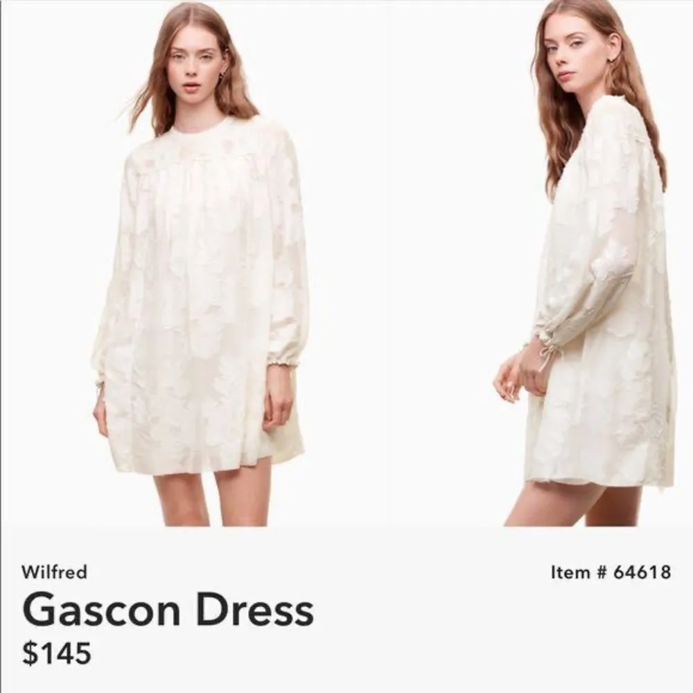 Aritzia Wilfred Gascon Dress - Image 2