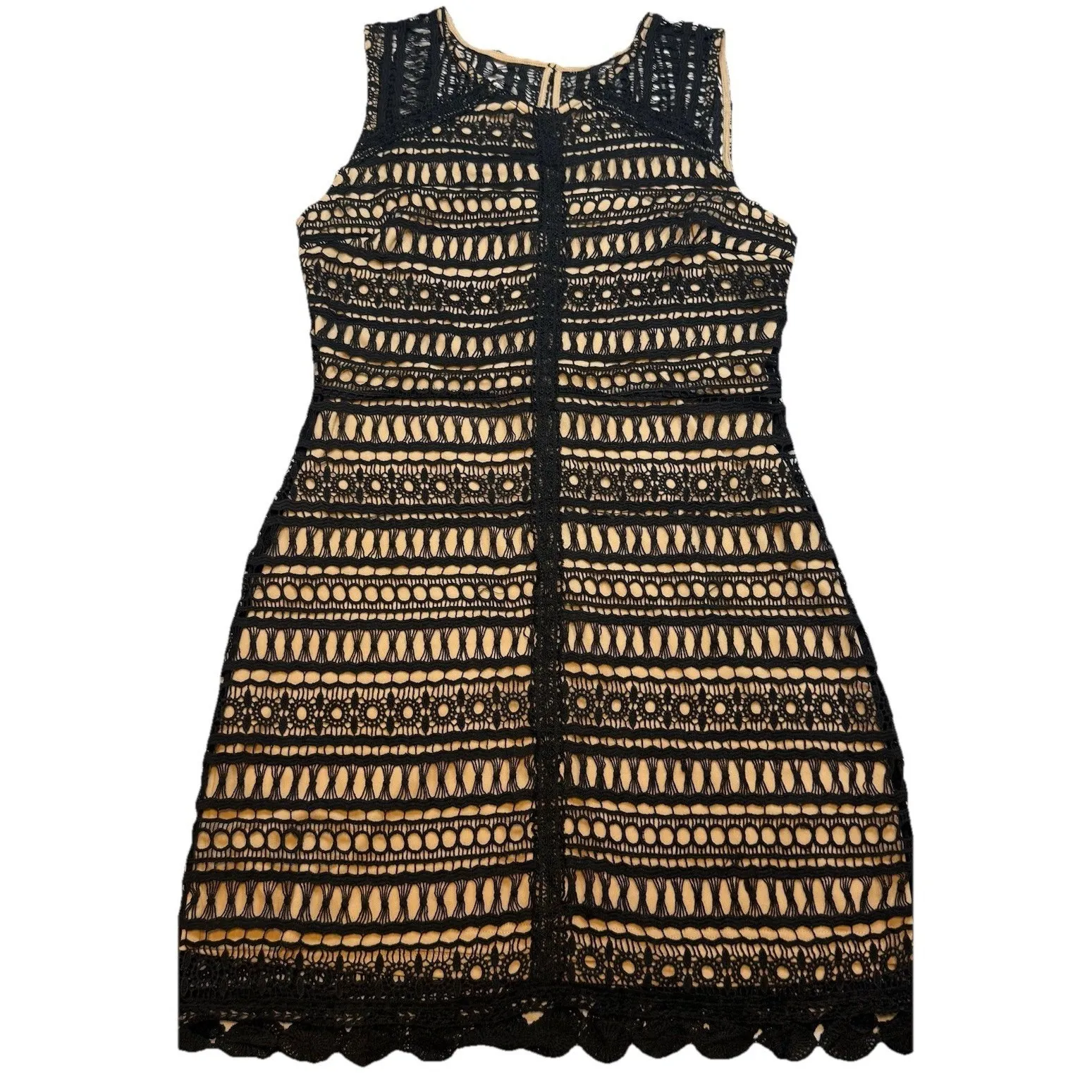 Francescas Womens Black Crochet Cocktail Dress w/ Nude‎ Underlay Classy NWT Sz M Size M - Image 4