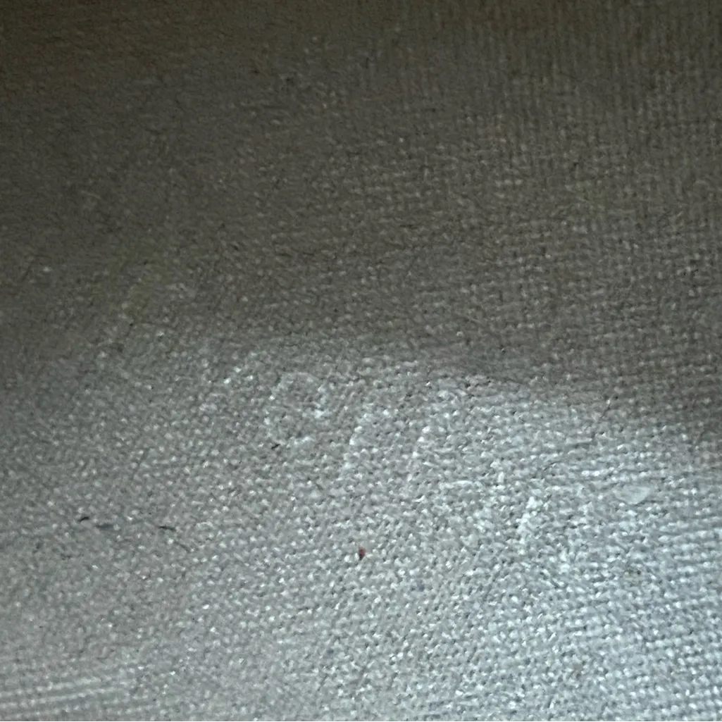 Everlane Trainers Blush Leather Sneakers Casual Shoes Womens 8.5 Minimalist - Image 15