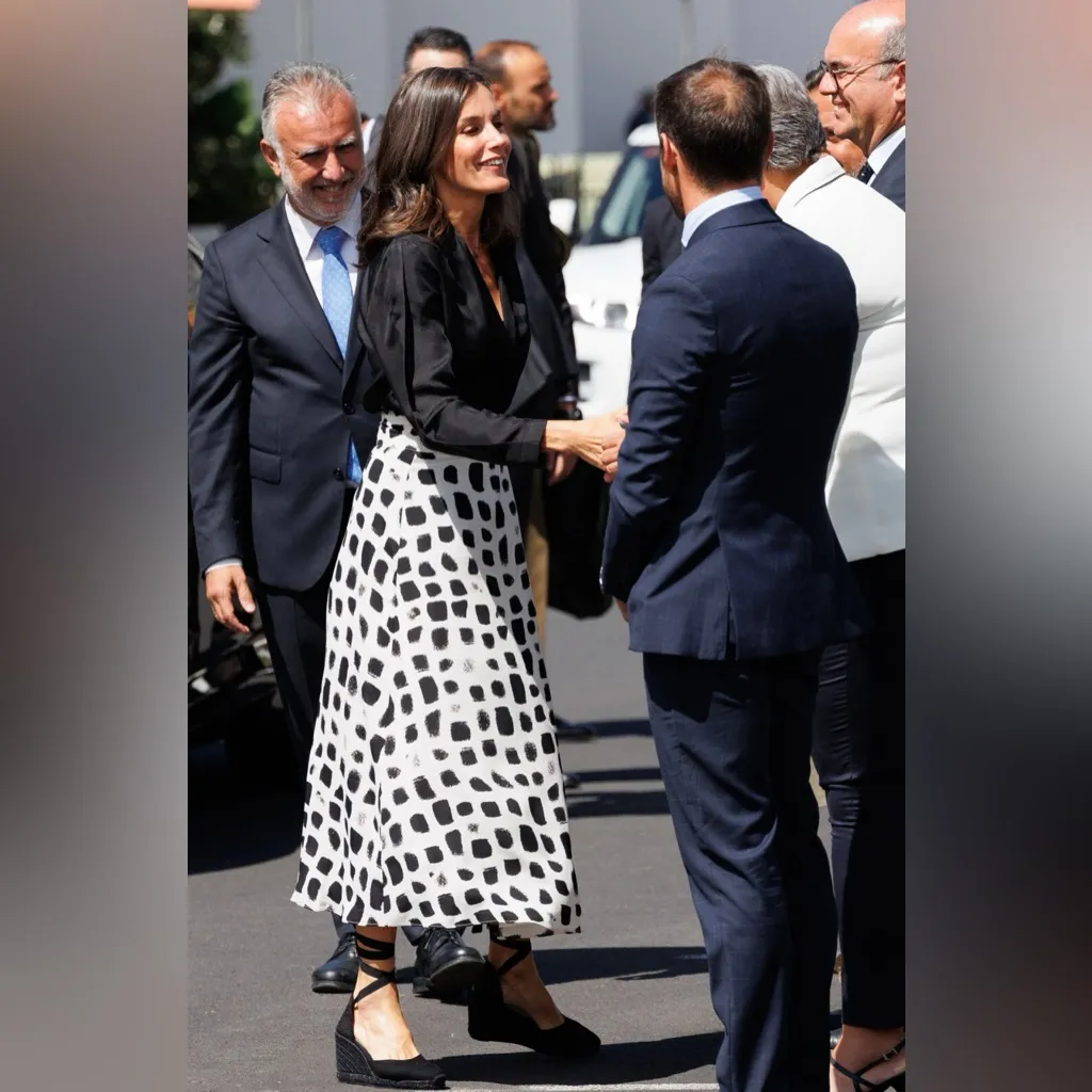 Massimo Dutti Two-Tone Print Skirt - Image 4