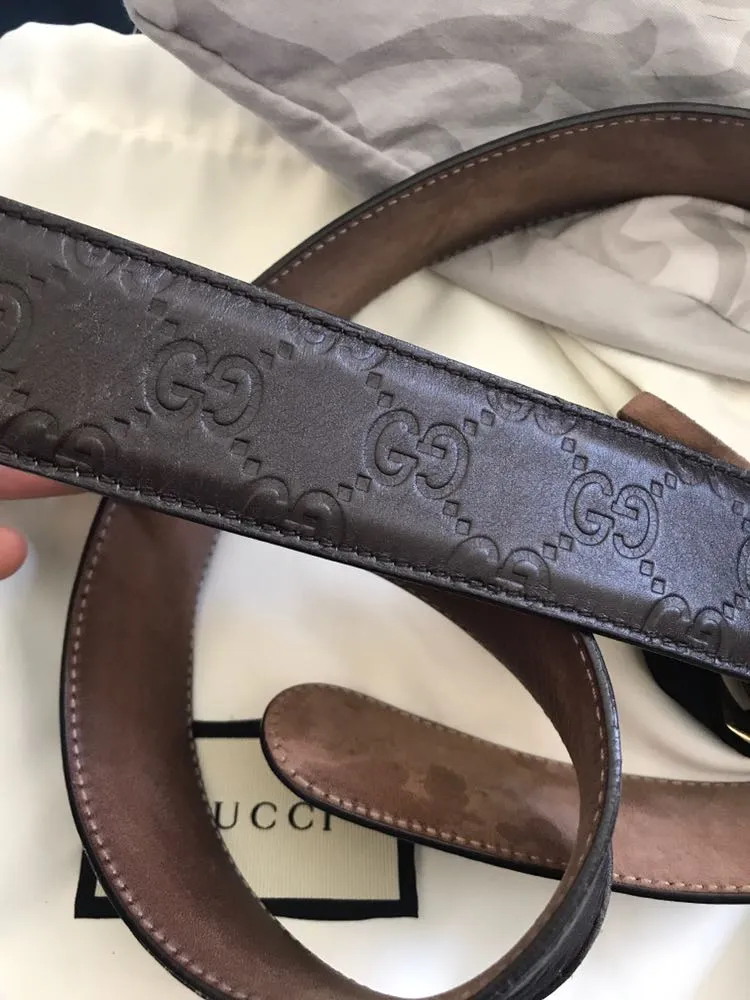 Gucci Brown Belt - Image 4