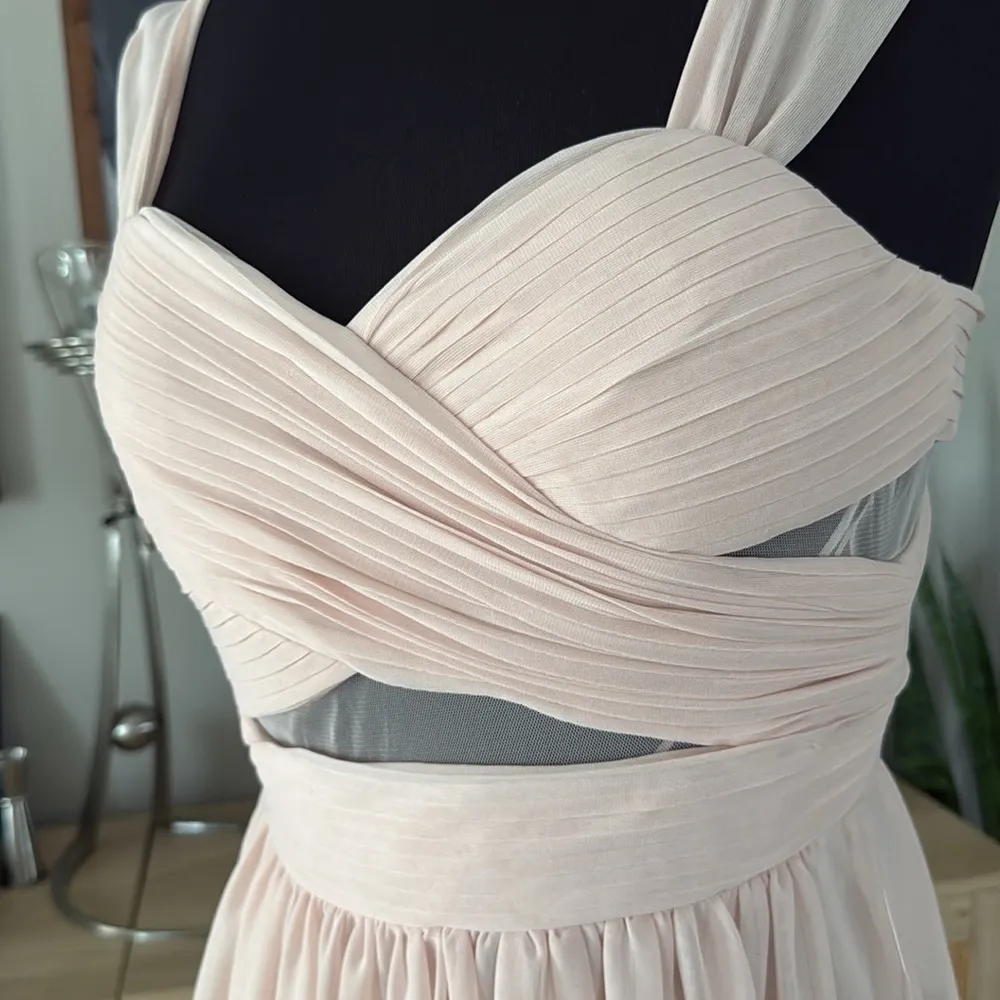 Birdy Grey Dusty Rose Pink Chiffon Full Length Mesh Cutout Elyse Dress - Image 6